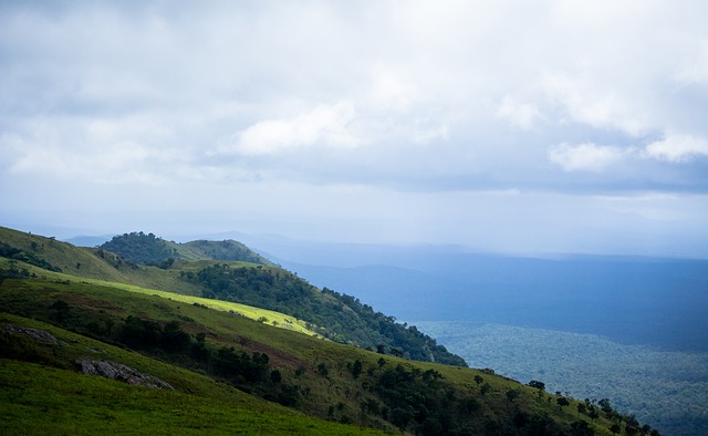 巴西美洲杯 巴西美洲杯
