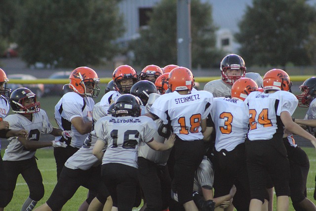 VP得主展 VP得主展