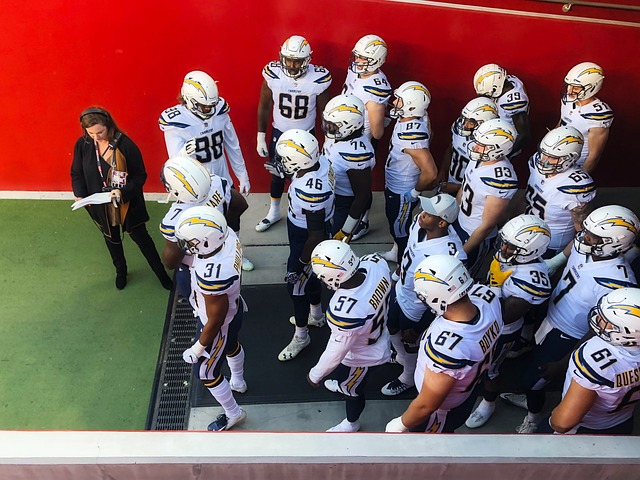 相映成辉的 相映成辉的