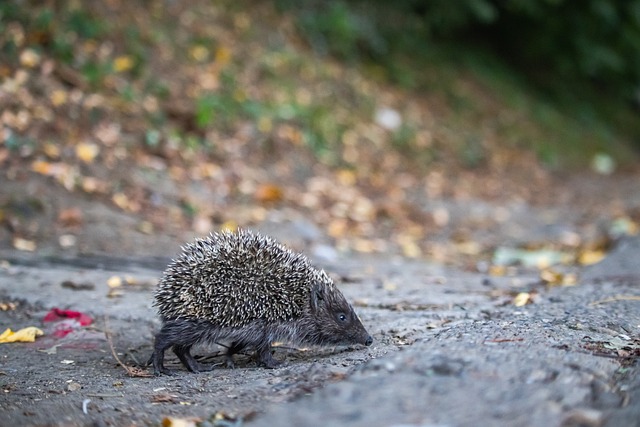 再次聯手 再次聯手